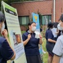 경화여자중학교 이미지