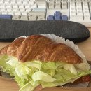 개안네 | 10월생의 10월 일상