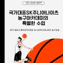국가대표SK주니어나이츠농구아카데미