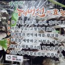 전원가든별관