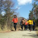 서울대공원 동물병원 이미지