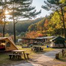 ⛺ 파주 캠핑장 예약하기, 인기 캠핑장은 금방 마감된다!