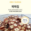 멈머다냥 이미지