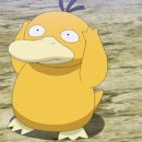 옥무역 | 상하이 1일차 그랜드마더 동방명주 센트럴호텔 불가리바 주광옥훠궈