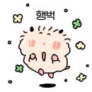 게코스토리