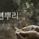 천년뿌리