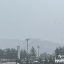 덕소점기아오토큐 이미지