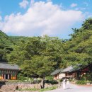 의성마늘한우프라자 이미지