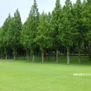 (주)국제파크골프 | 18홀내내 걸으면서 라운딩을 즐길수있는 인천국제cc 골프장회원권 명의개서 해드렸어요~