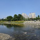 남천둔치1 이미지