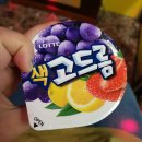 뮤직뱅크노래연습장 이미지