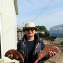 펜션 해넘이하우스 이미지