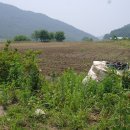 죽동리 이미지