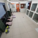 더블유펫 이미지