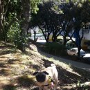 삼무공원 이미지