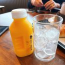 우진파크 | 제주 여행 1일차 | 우진해장국-웨이뷰-레츠런파크제주-제이팜-동화마을-세화해변-월정리해수욕장