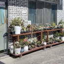 밀양할매메기탕 | 밀양 향토관광음식으로 유명한 밀양할매메기탕