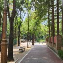 산들어린이공원 앞 이미지