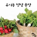 향기마실