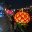 봄밤을 반짝이게 만든 시간, 2025 분당 야탑 탄천 연등축제 🌟