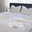 냉감패드 추천 제품 직접 비교해보고 선택한 호무로 슈퍼하이쿨7 후기