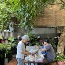 달링하버 2 이미지