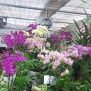 양천향교역 2번출구 이미지