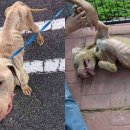 기다리다 이미지