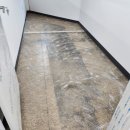 선태권도장 이미지