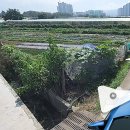 성동농장 이미지