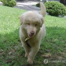 달성공원관리사무소 이미지