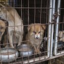 마땅농장 이미지