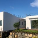 바이신산 이미지