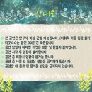 가족극<누가 내 머리에 똥쌌어?> | ​[대학로 연극 추천] 웃다 울다 시간 순삭! 감동적인 가족극 오남매 관람 후기｜🎭 오리의 문화생활