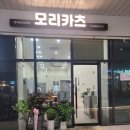 카츠모리 티스토리