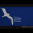 갈매기의 꿈 이미지