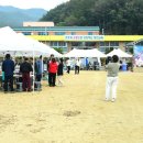 청천초등학교 이미지