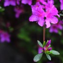 선녀와 나무꾼의 힐하우스 이미지