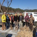 소로1리 이미지