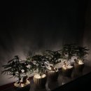 목련모자원 이미지