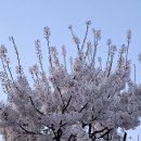 세븐일레븐 속초시외버스터미널점 이미지