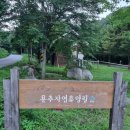 안의면사무소 | 경남 함양군 용추자연휴양림 숲속수련관 개나리실 이용후기 기백산군립공원 계곡 지우천 용추계곡 용추...