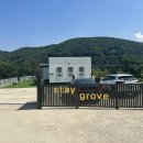 스테이 그로브 이미지