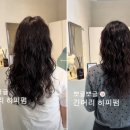 찬혁