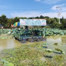 물고기마을 이미지