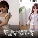 쉬인 내돈내산 후기와 지속 가능한 가치 소비의 기록