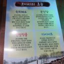이것이코다리다 이미지