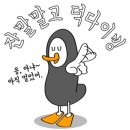 갈라파고스프리다이빙