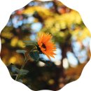 석천근린공원 이미지