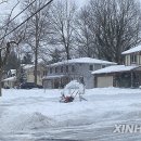 Snow County 이미지